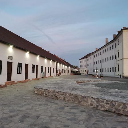 Spiegel Center Apartment Oradea Exterior foto